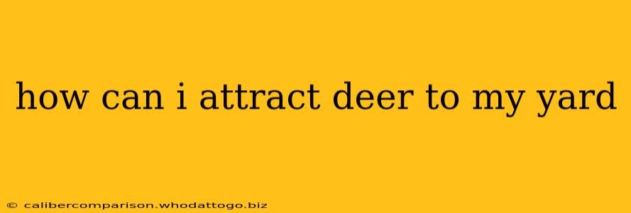 how can i attract deer to my yard