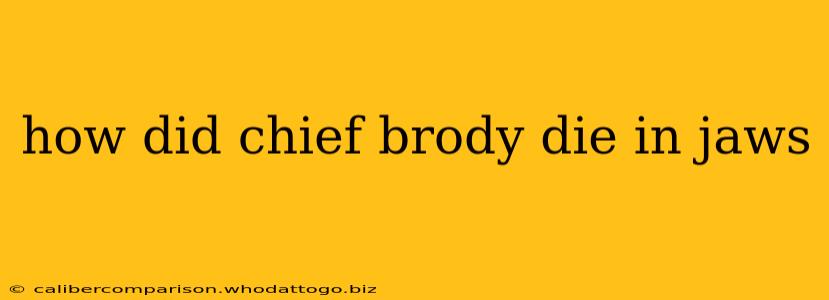 how did chief brody die in jaws