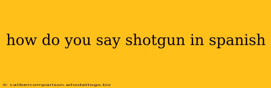 how do you say shotgun in spanish