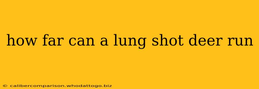 how far can a lung shot deer run