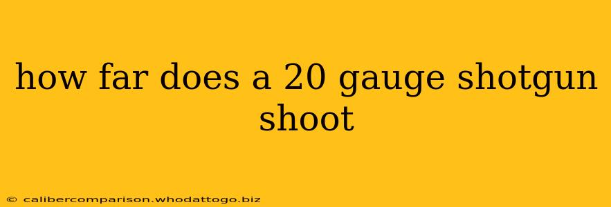 how far does a 20 gauge shotgun shoot