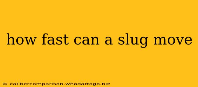 how fast can a slug move