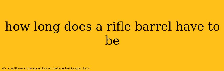 how long does a rifle barrel have to be