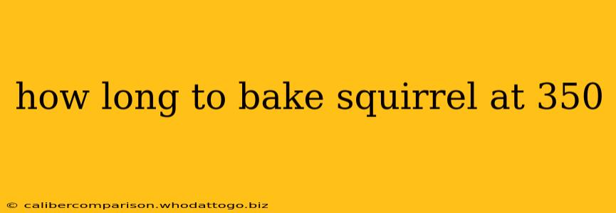 how long to bake squirrel at 350