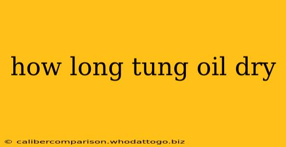 how long tung oil dry