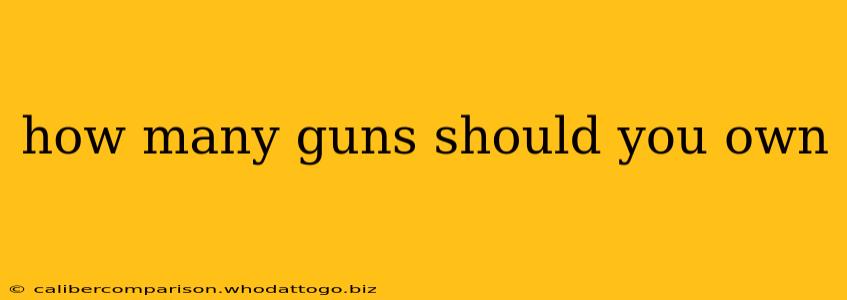 how many guns should you own