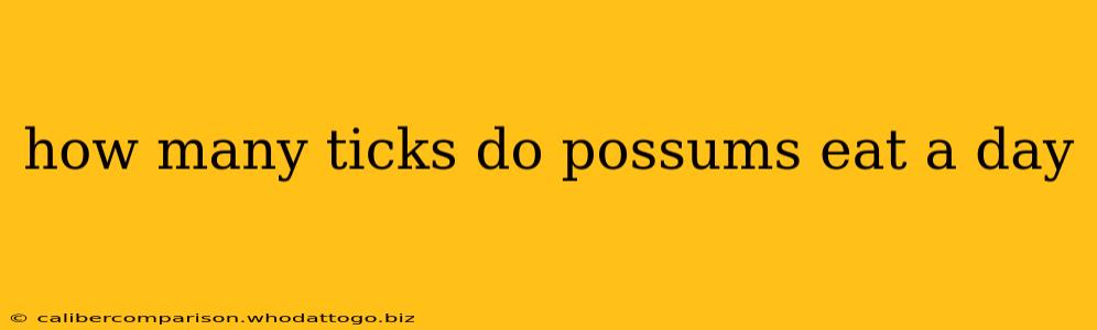 how many ticks do possums eat a day