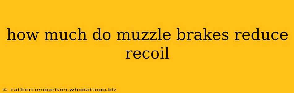 how much do muzzle brakes reduce recoil