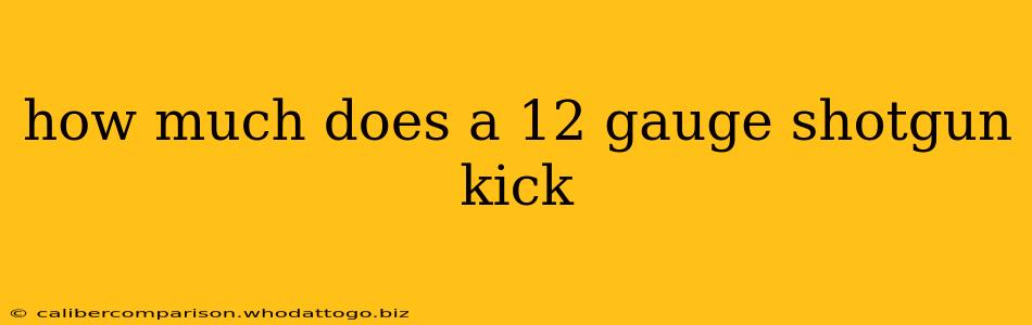 how much does a 12 gauge shotgun kick