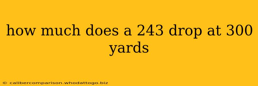 how much does a 243 drop at 300 yards