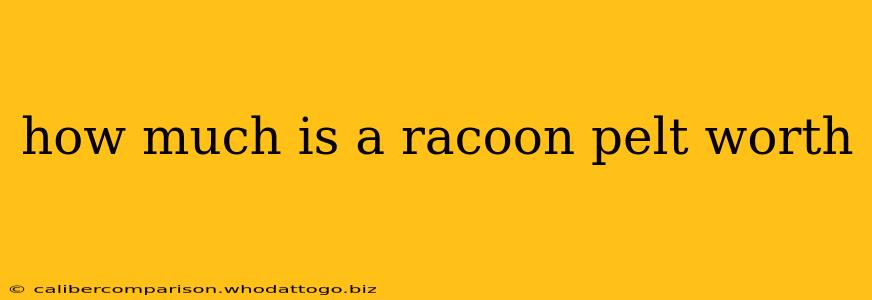 how much is a racoon pelt worth