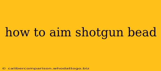 how to aim shotgun bead