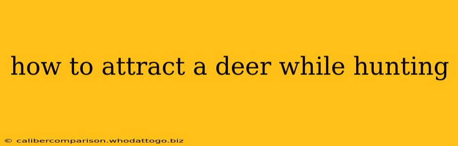 how to attract a deer while hunting