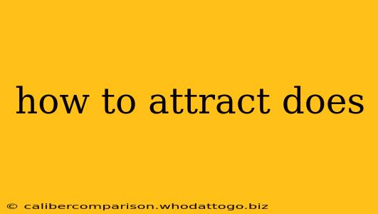 how to attract does