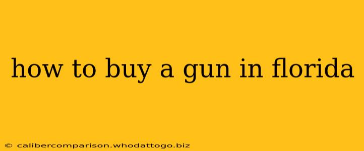 how to buy a gun in florida