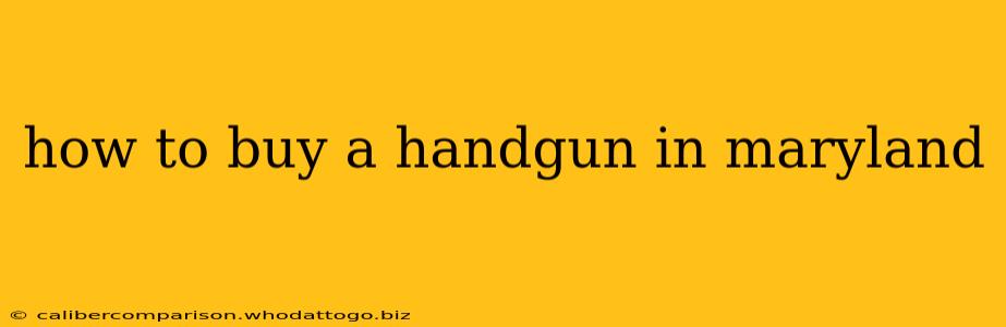 how to buy a handgun in maryland