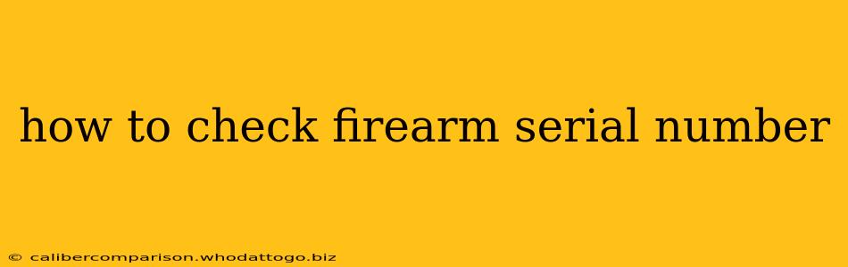 how to check firearm serial number