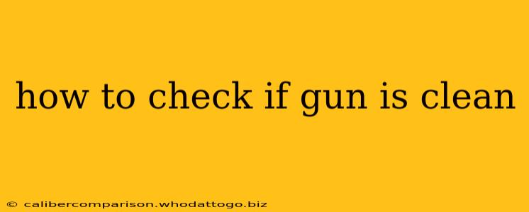 how to check if gun is clean