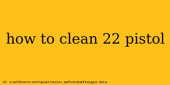 how to clean 22 pistol