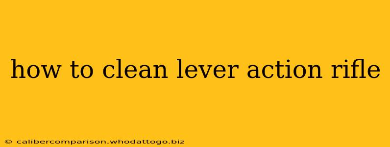 how to clean lever action rifle