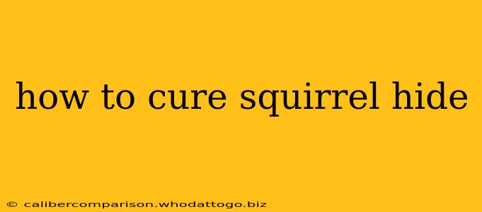 how to cure squirrel hide