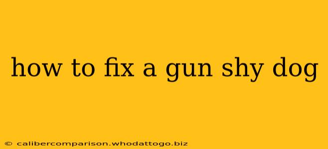 how to fix a gun shy dog