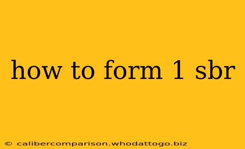 how to form 1 sbr