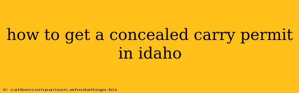 how to get a concealed carry permit in idaho