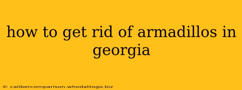 how to get rid of armadillos in georgia