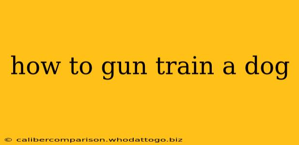 how to gun train a dog