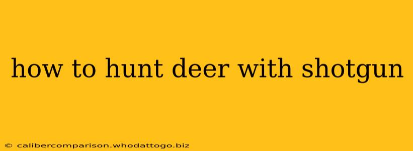 how to hunt deer with shotgun