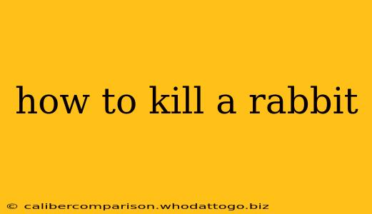 how to kill a rabbit