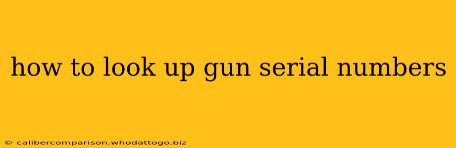 how to look up gun serial numbers