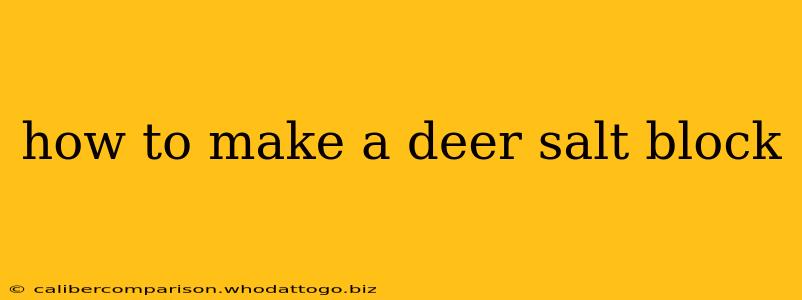 how to make a deer salt block