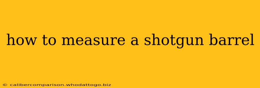 how to measure a shotgun barrel