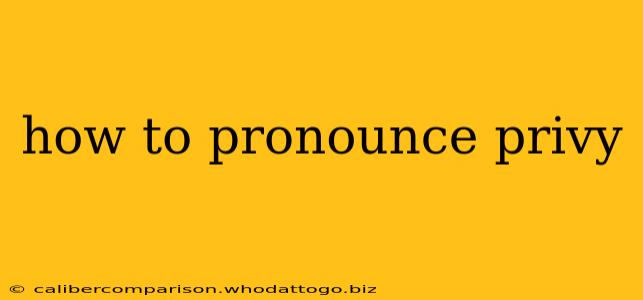 how to pronounce privy