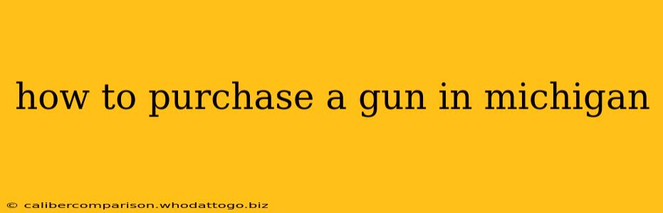 how to purchase a gun in michigan