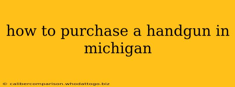 how to purchase a handgun in michigan