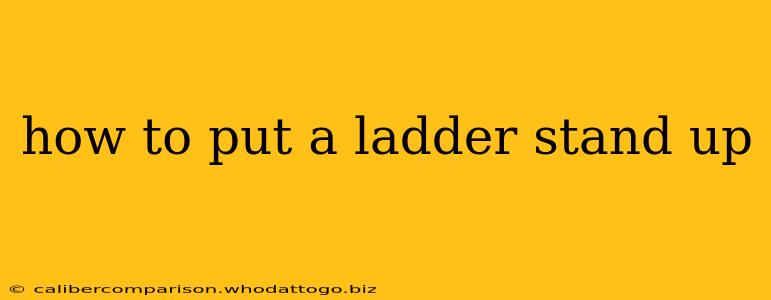 how to put a ladder stand up