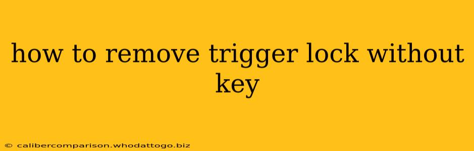 how to remove trigger lock without key