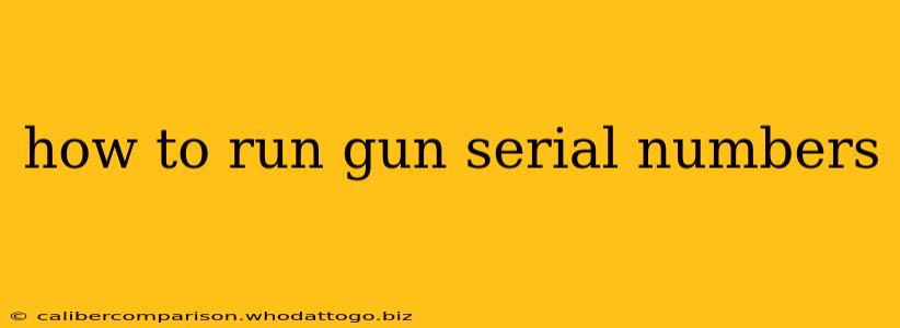 how to run gun serial numbers