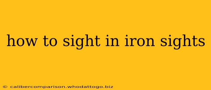 how to sight in iron sights