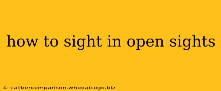 how to sight in open sights