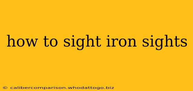 how to sight iron sights