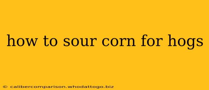 how to sour corn for hogs