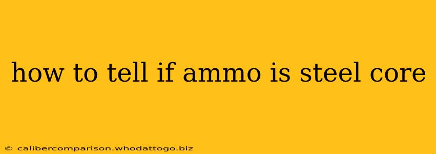 how to tell if ammo is steel core