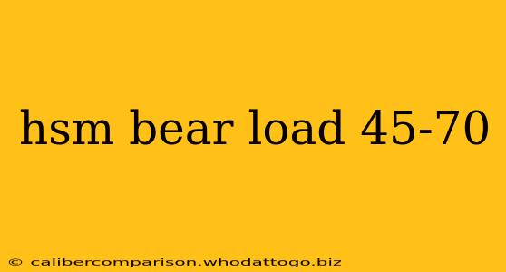 hsm bear load 45-70