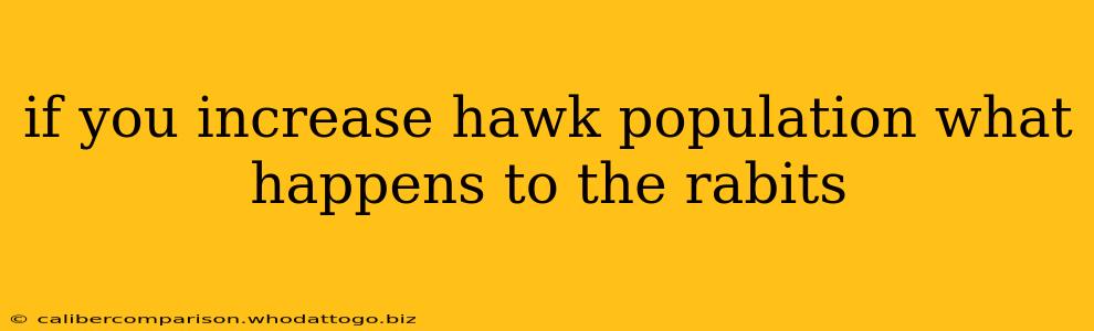 if you increase hawk population what happens to the rabits