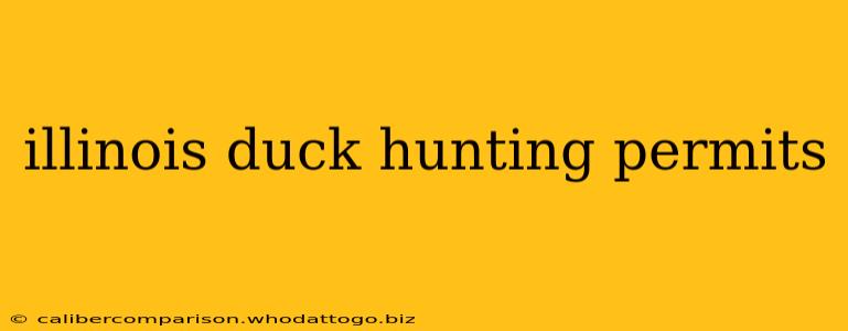 illinois duck hunting permits