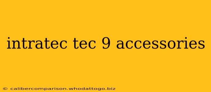 intratec tec 9 accessories